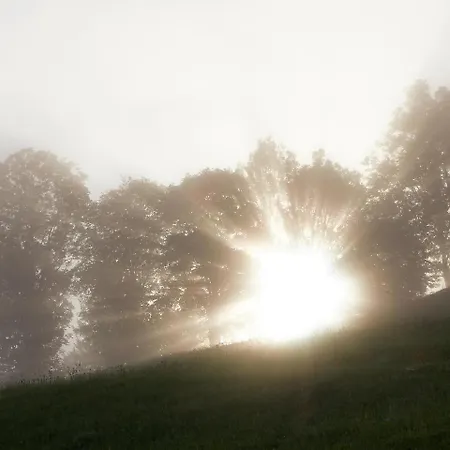 Eisbacherhof * Schladming