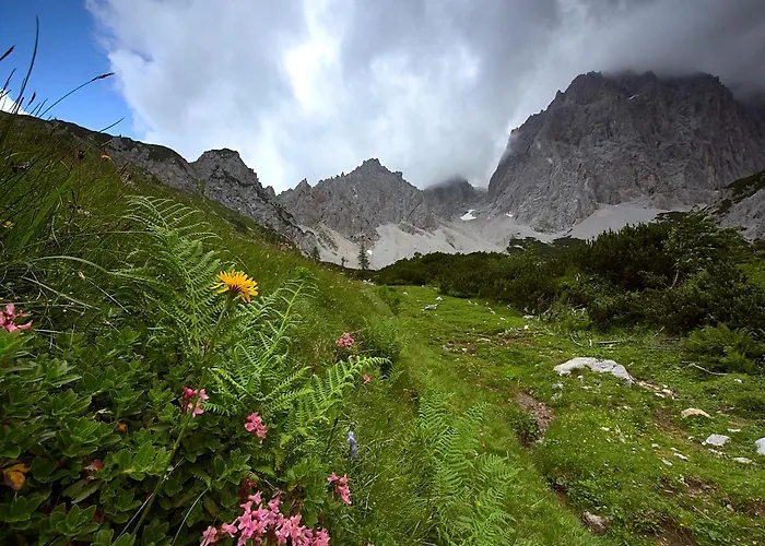 Eisbacherhof Lantgård Schladming